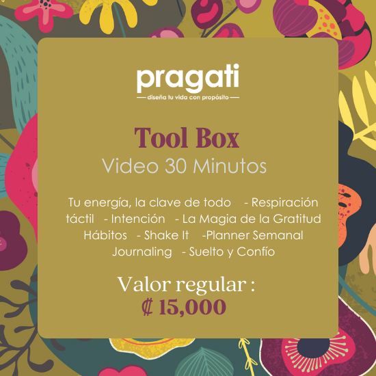 Pragati Tool Box